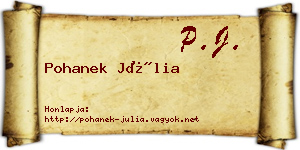 Pohanek Júlia névjegykártya